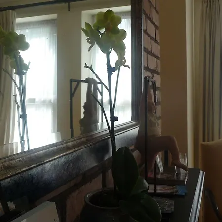 Crawford House- Scholarlee Living Cork